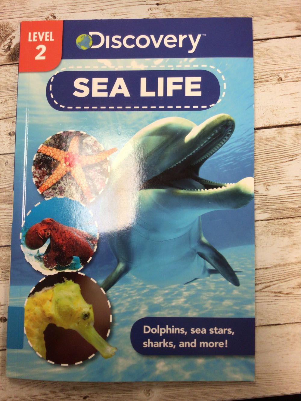 Discovery Sea Life - Emily Rose Oachs book collectible - Main Image 1