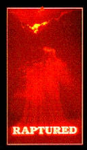 Raptured : a novel on the second coming of the lord