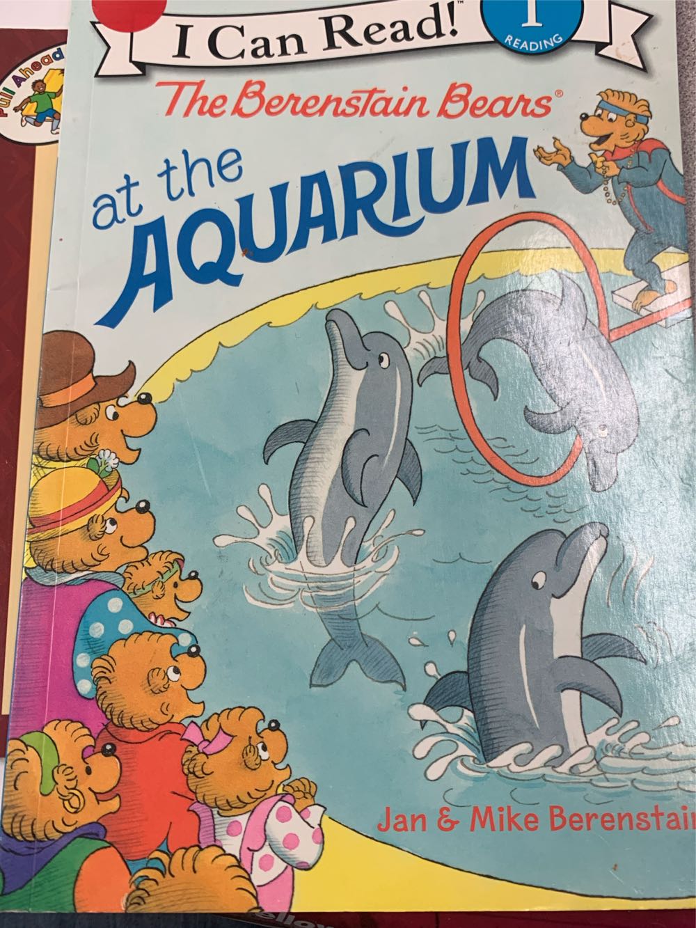 The Berenstain Bears At The Aquarium