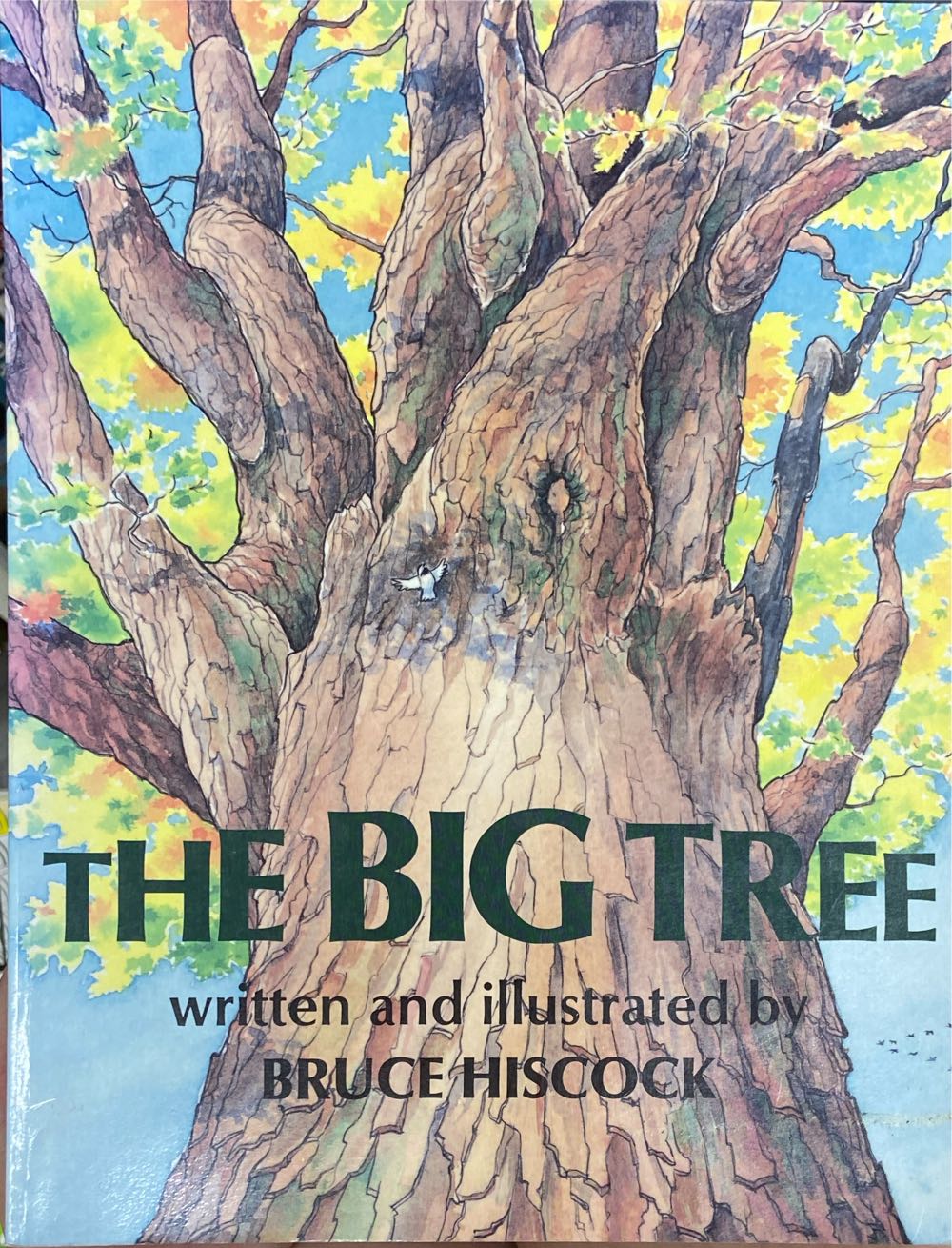 The Big Tree