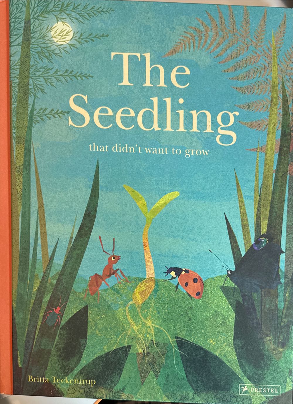 The Seedling That Didnt Want To Grow