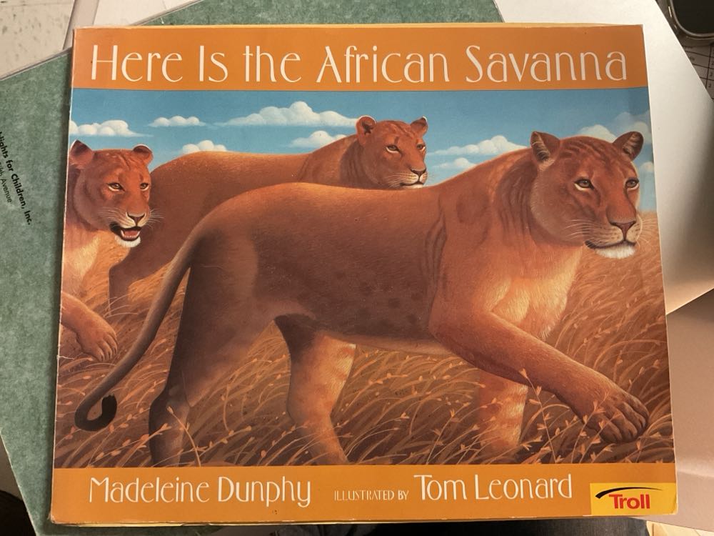 Here Is The African Savanna
