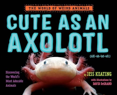 Cute As An Axolotl: Discovering The World’s Most Adorable Animals The World Of Weird Animals