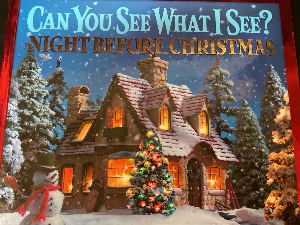 Can You See What I See Night Before Christmas