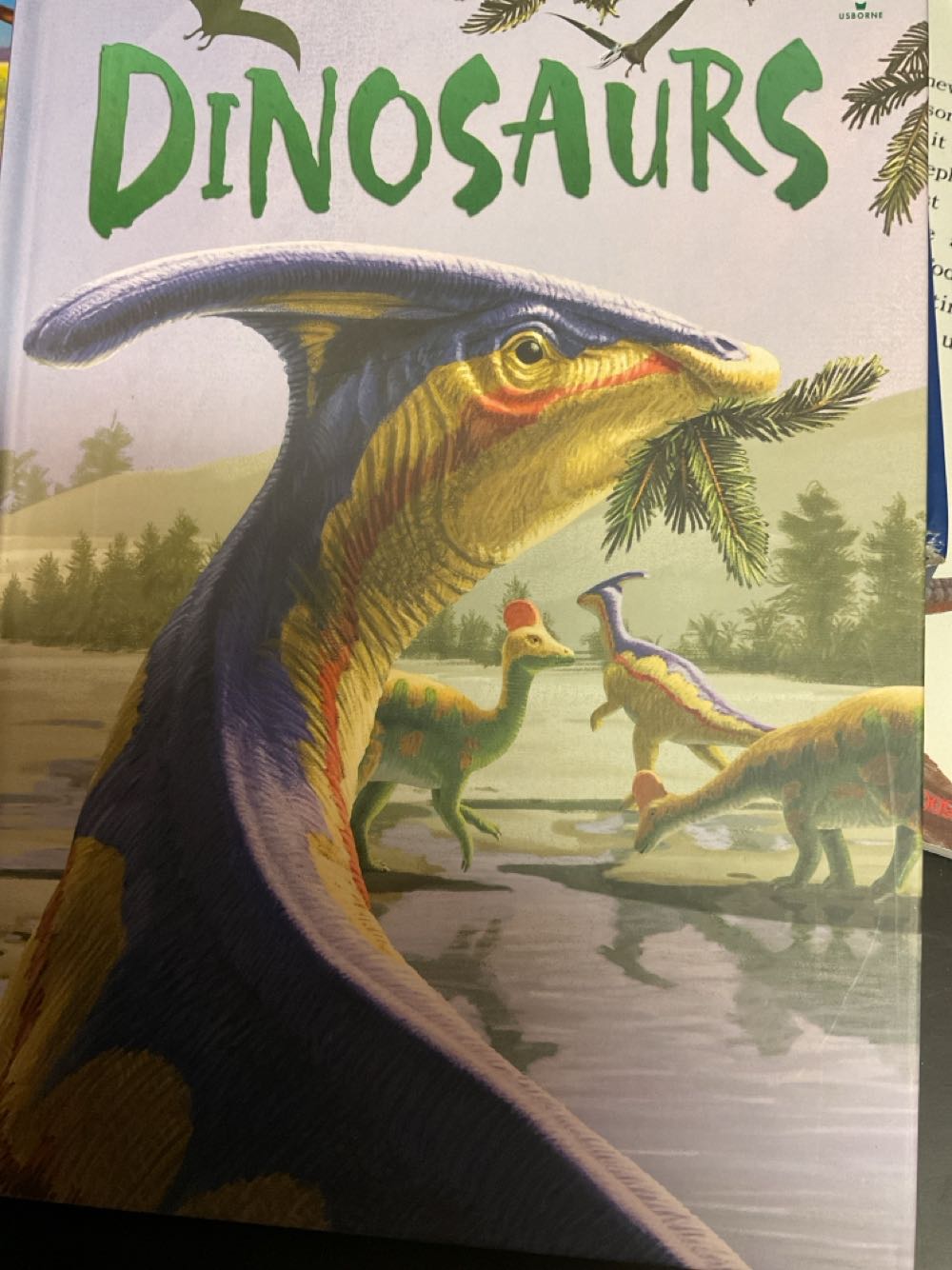 Dinosaurs Usborne Books