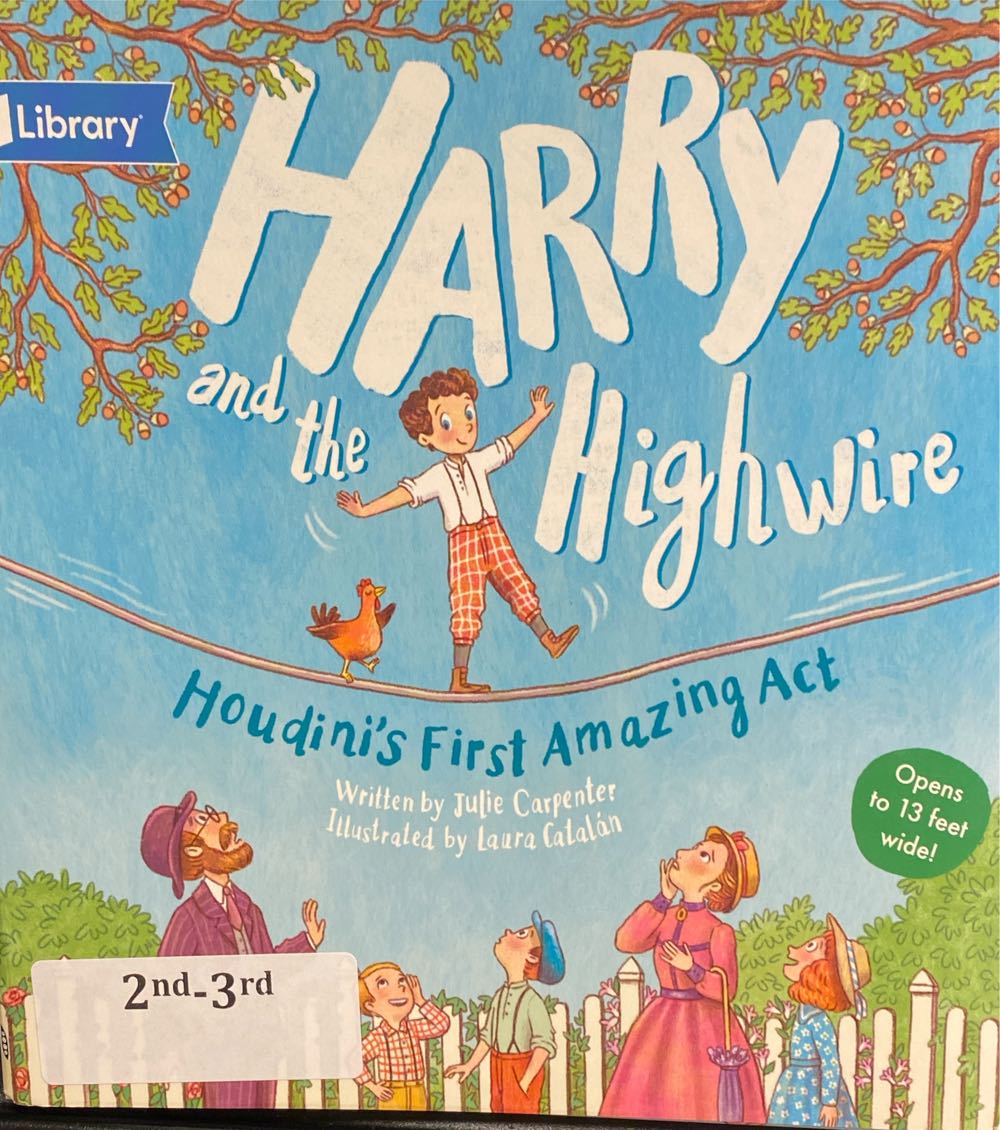 Harry And The Highwire