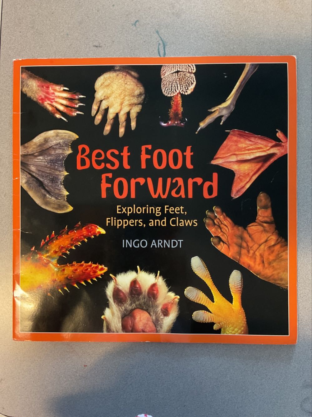 Best Foot Forward