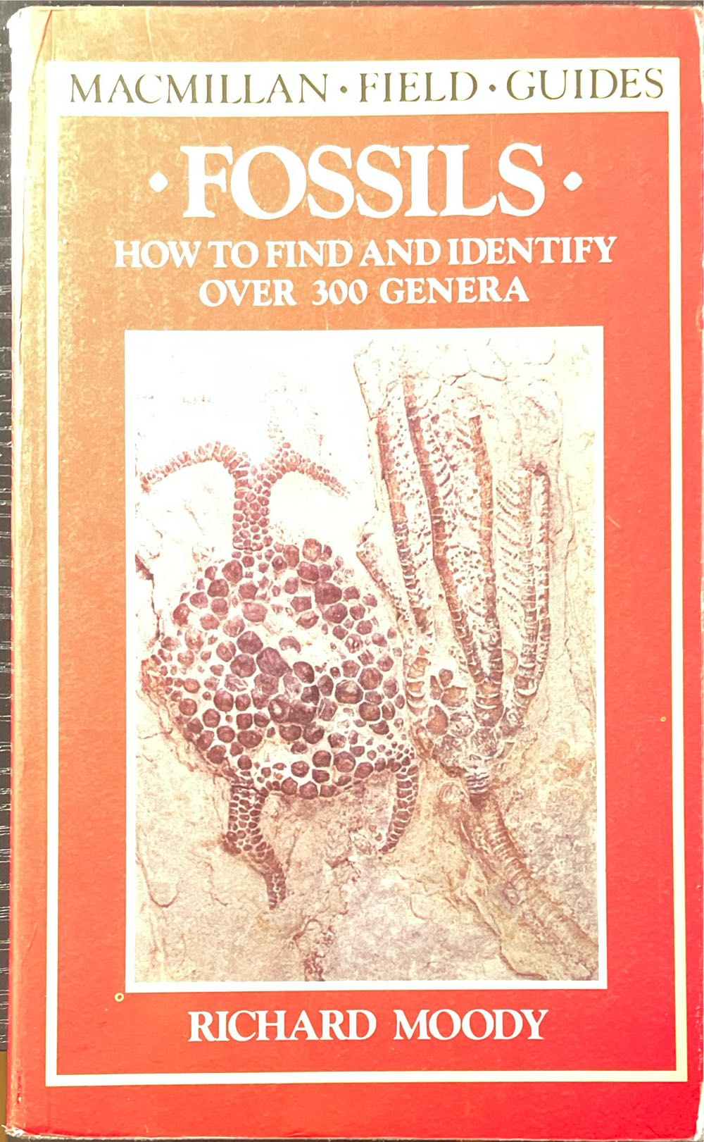 Fossils: How To Find And Identify Over 300 Genera