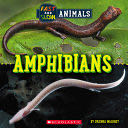 Fast and Slow: Amphibians