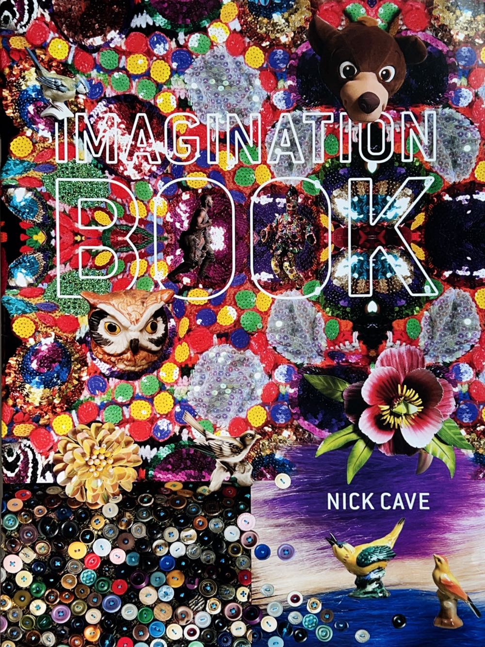 Imagination Book Nick Cave