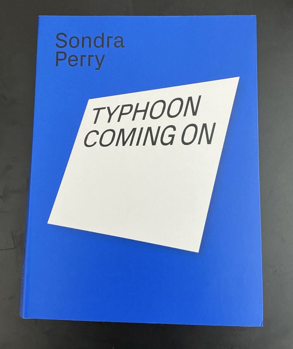 Sondra Perry : Typhoon Coming On Online
