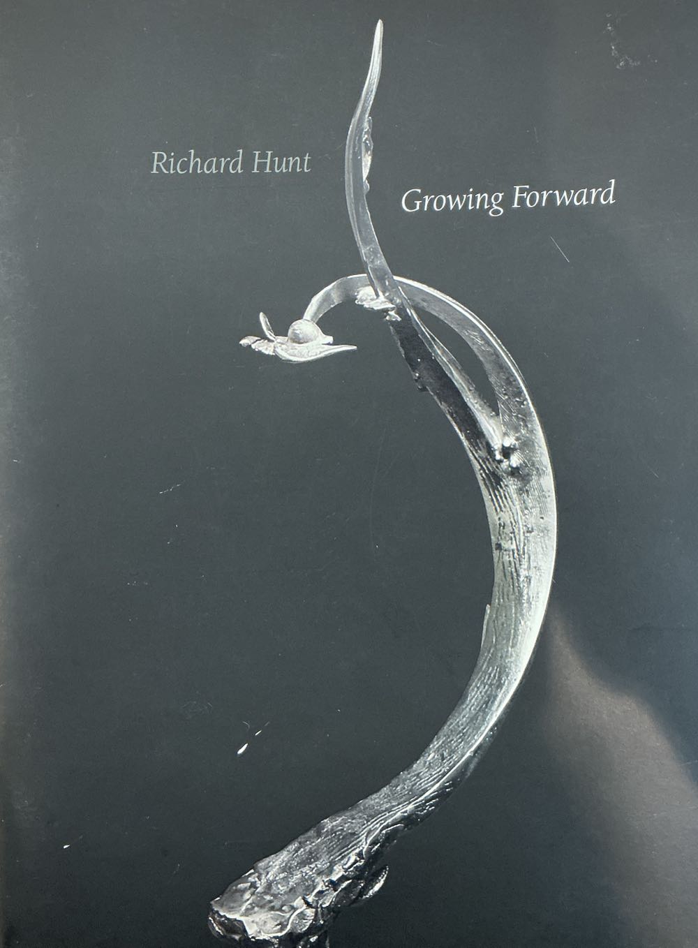 Richard Hunt: Growing Forward