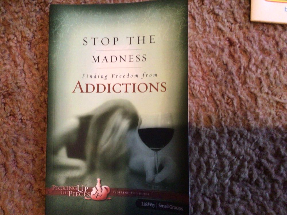 Stop the Madness: Finding Freedom From Addictions