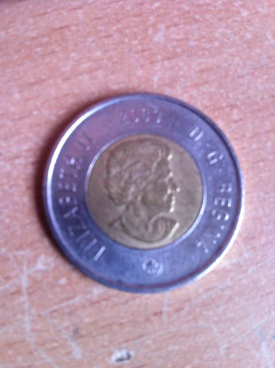 Toonie  coin collectible - Main Image 2