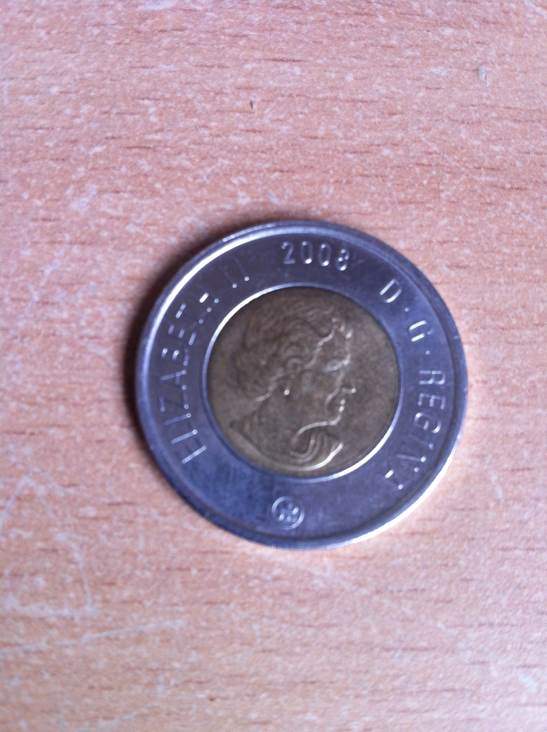 Toonie  coin collectible - Main Image 2