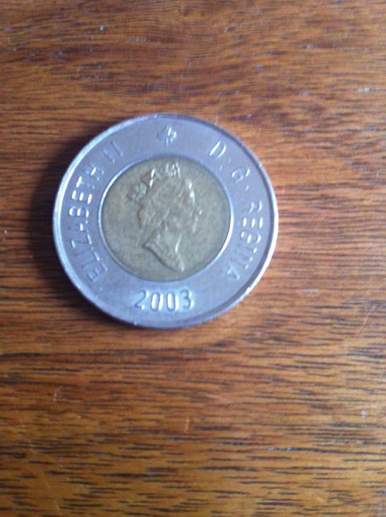 Toonie  coin collectible - Main Image 2