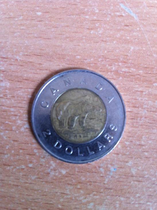 Tonnie  coin collectible - Main Image 1