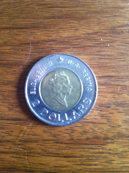 Toonie  coin collectible - Main Image 2