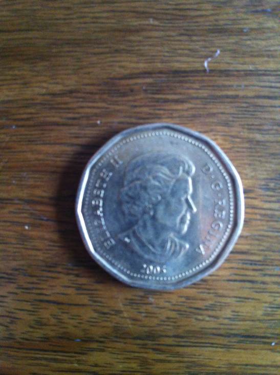Loonie  coin collectible - Main Image 2