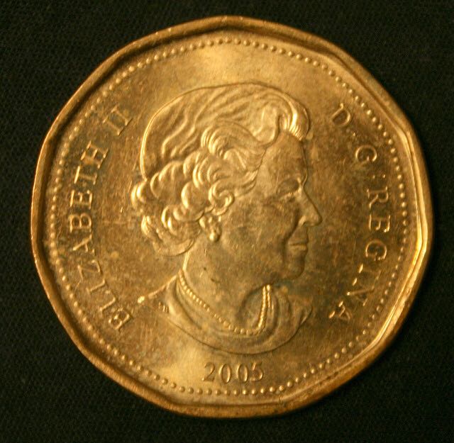 Loonie - Terry Fox 2005  coin collectible - Main Image 2