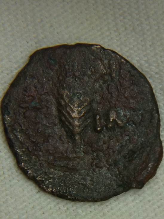 Roman Judea 24ad  coin collectible - Main Image 2