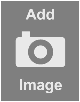 Maryland State Quarter P  coin collectible - Main Image 2