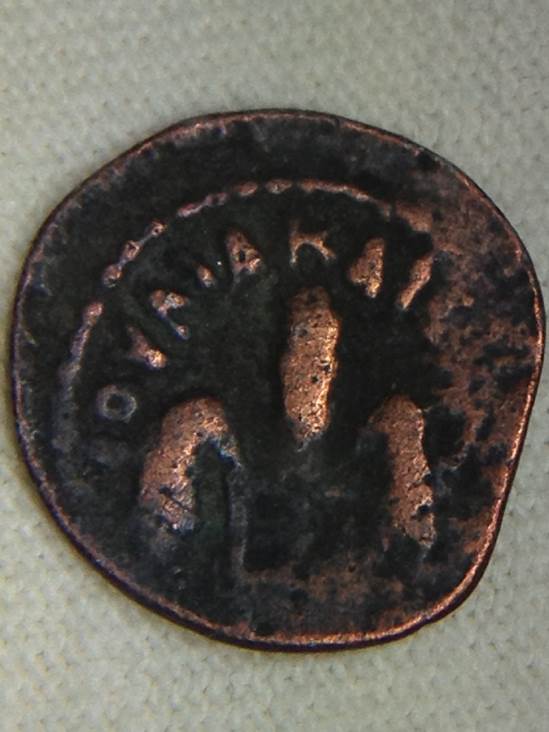 Judaea Prutah 29 AD  coin collectible - Main Image 2