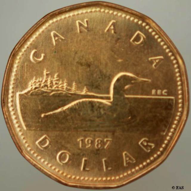 Canadian Loonie  coin collectible - Main Image 2