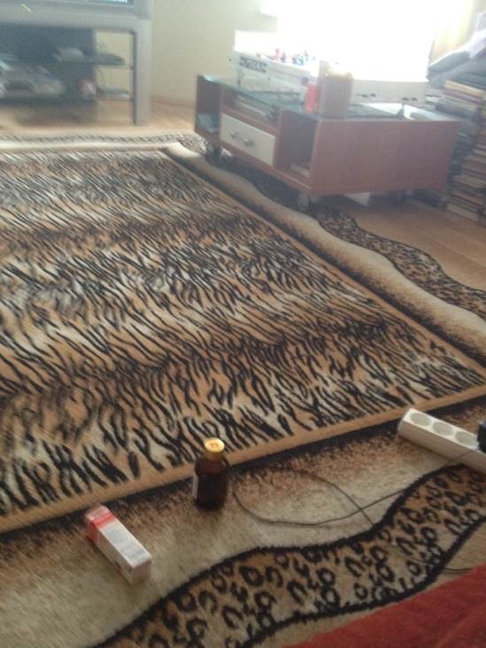 Proof Five-dollar Gold Coin