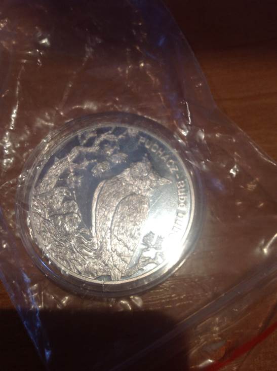 Indian Head Cent 1901