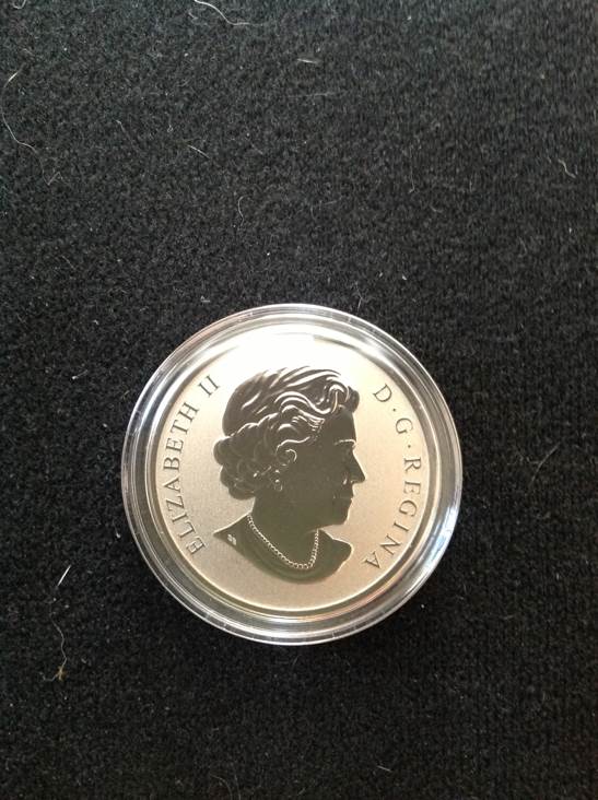 Canadian Collectable 25 Cent Piece 2013  coin collectible - Main Image 2