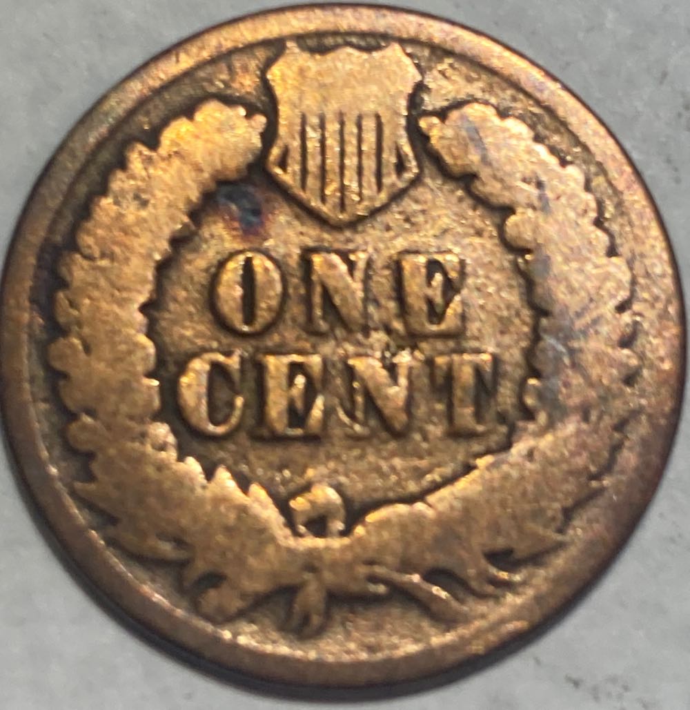 1887 Indian Head Cent  coin collectible - Main Image 4