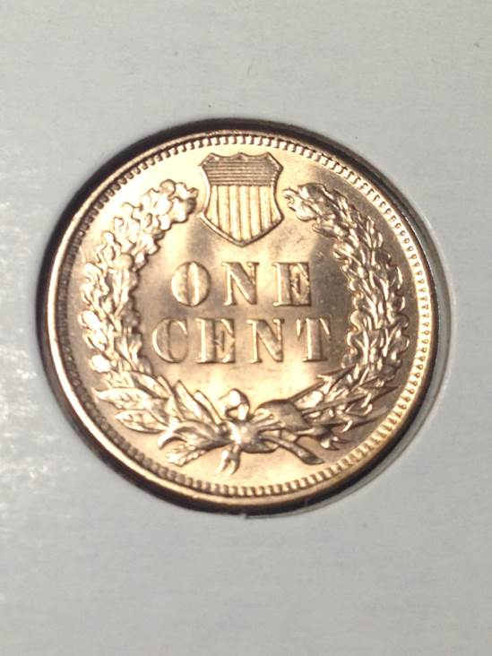 1906 Indian Head  coin collectible - Main Image 2