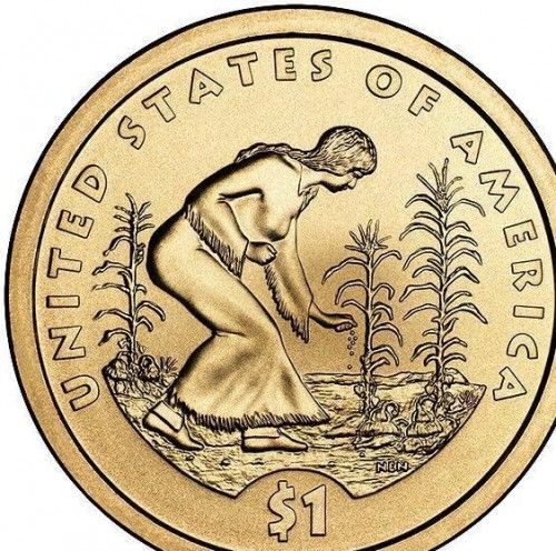 2009 Dollar USA  coin collectible - Main Image 2