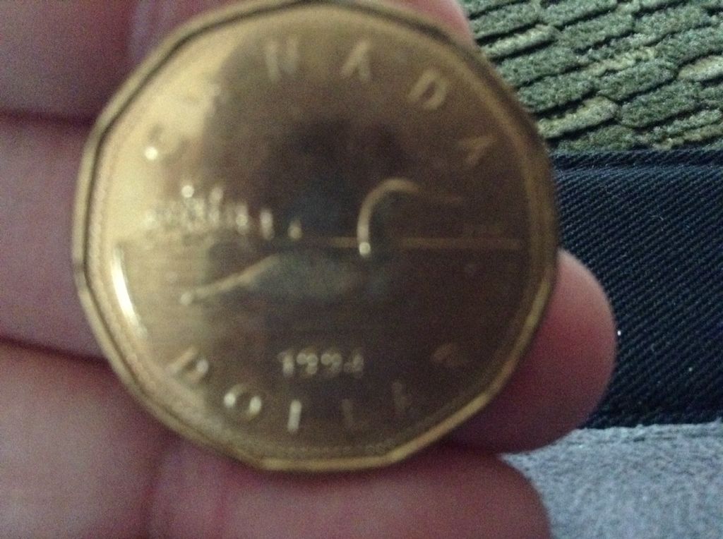 1994 Loonie  coin collectible - Main Image 2