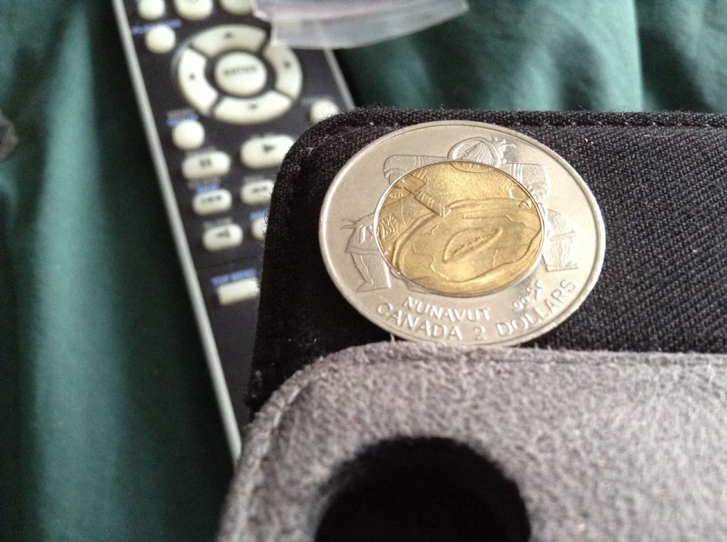1999 Toonie  coin collectible - Main Image 2