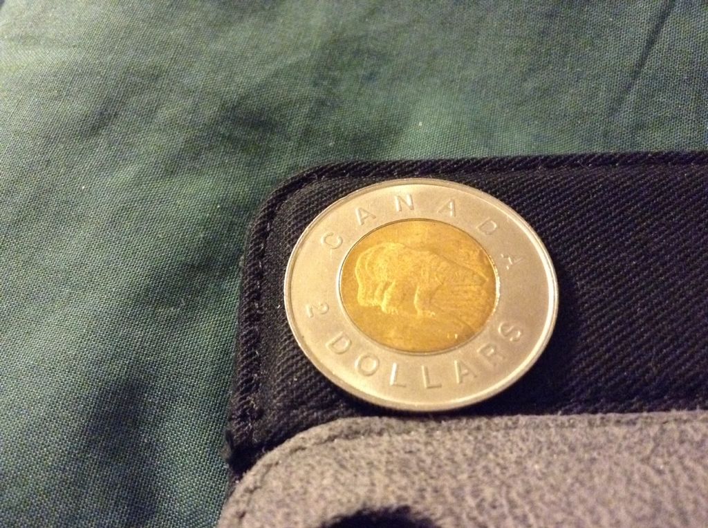 1996 Toonie  coin collectible - Main Image 2