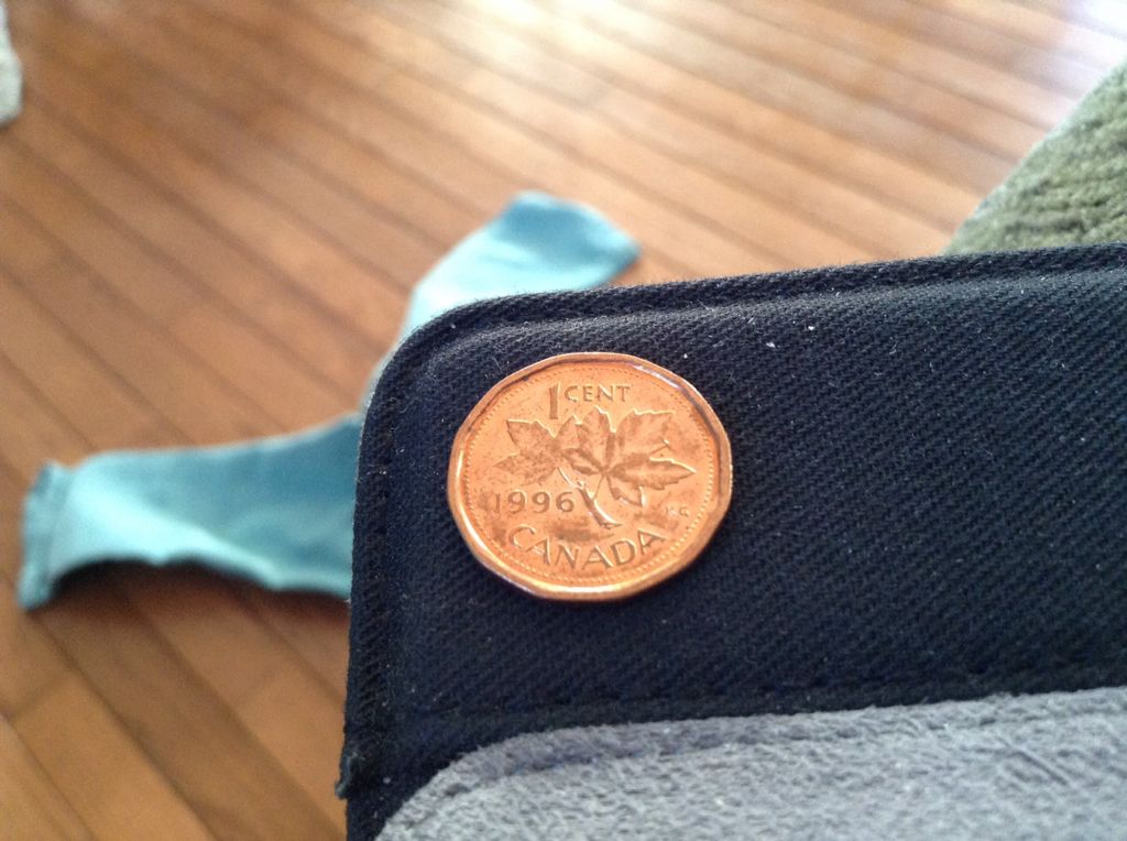 1996 Penny D  coin collectible - Main Image 2