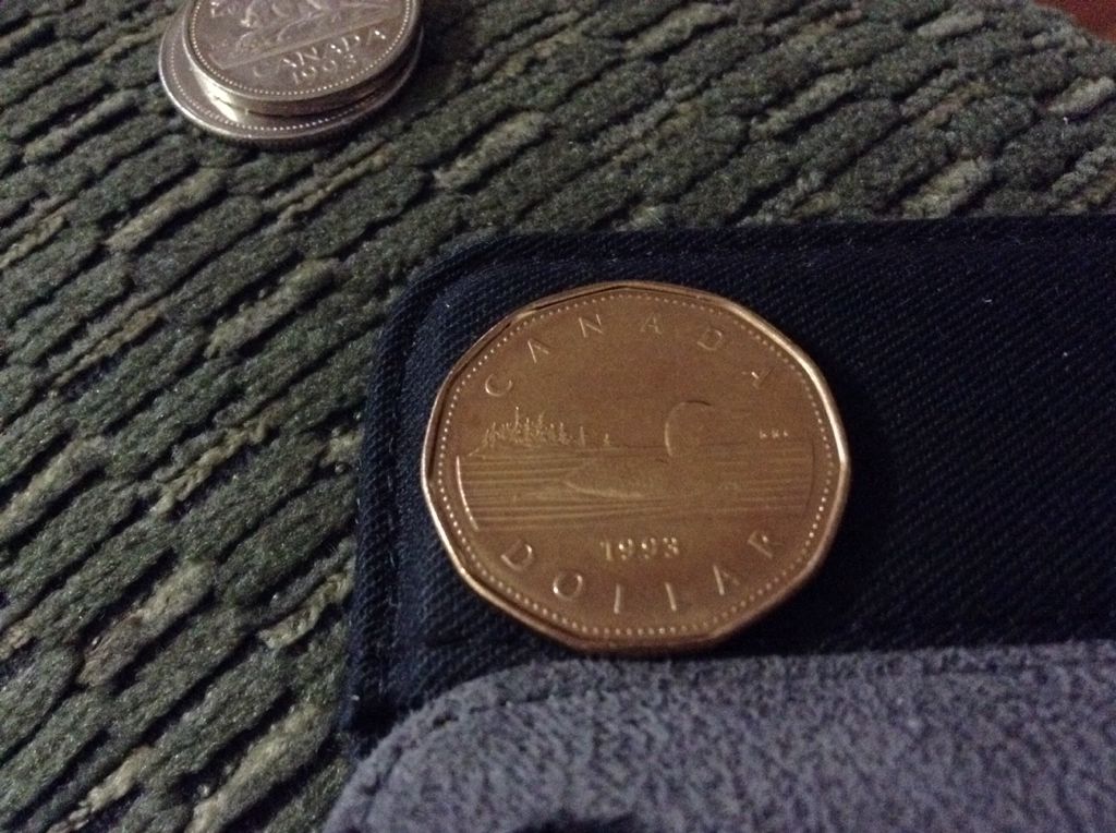 1993 Loonie  coin collectible - Main Image 2