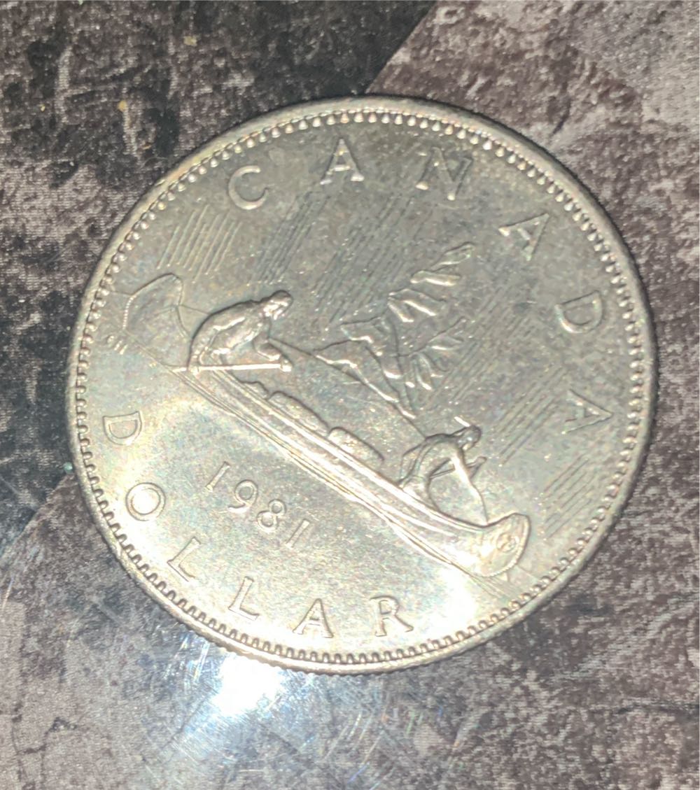 1981 Canadian Dollar  coin collectible - Main Image 3