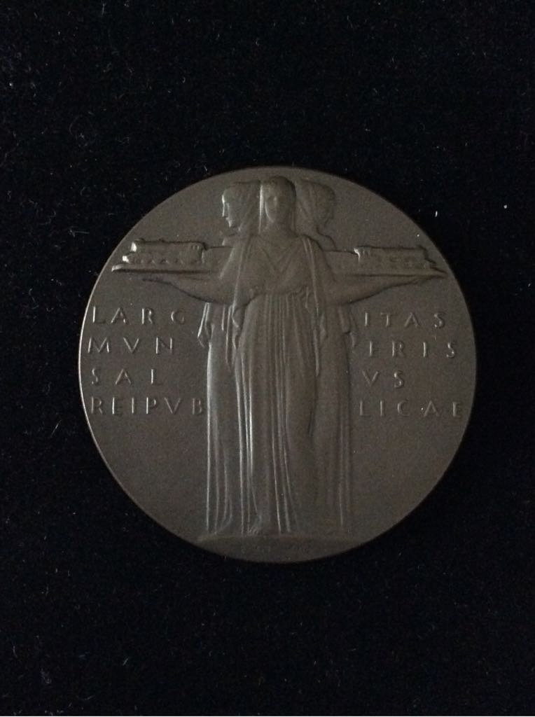 National Emergency For Service Medal  coin collectible - Main Image 2