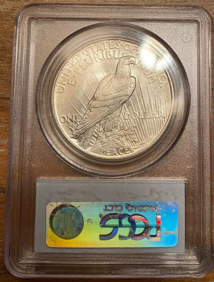 Peace Dollar 1921-P  coin collectible - Main Image 4