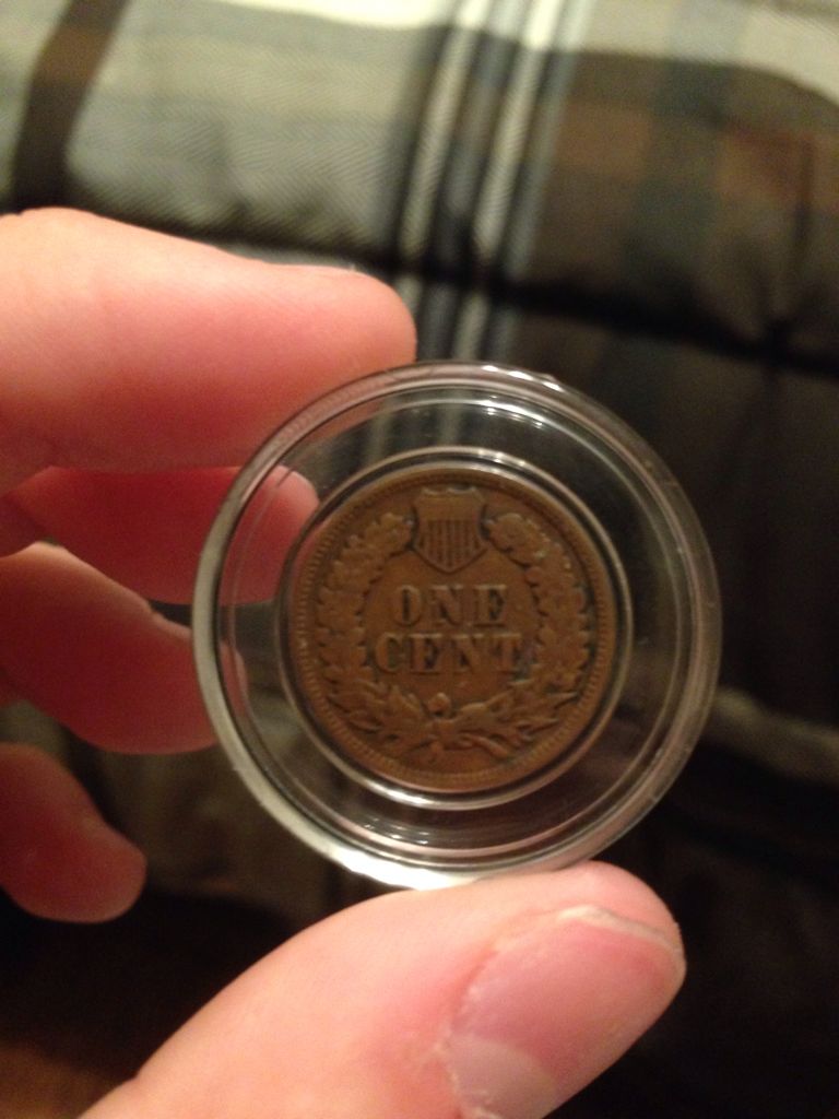 1903 Indian Head Cent-P  coin collectible - Main Image 2