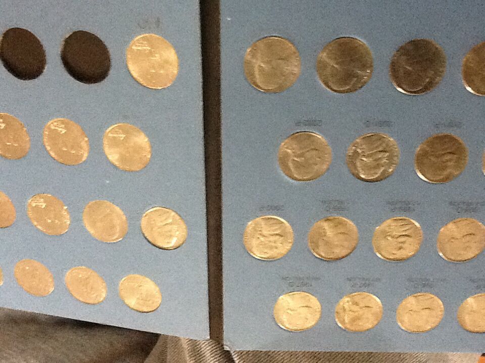 Bison Stampede 100.00 Canada 