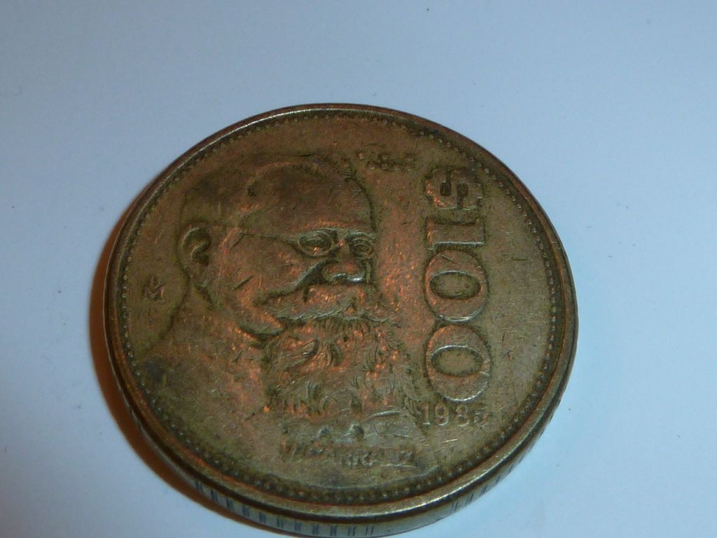 2013 Tylosaurus Pembinensls