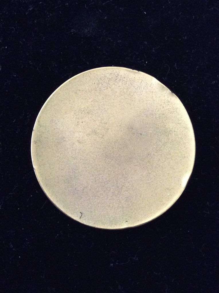 Shield Winners Medal  coin collectible - Main Image 2