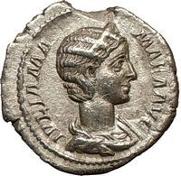 2013 Snake Copper Round