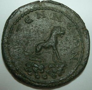 Iulia Mamaea Provinz  coin collectible - Main Image 2