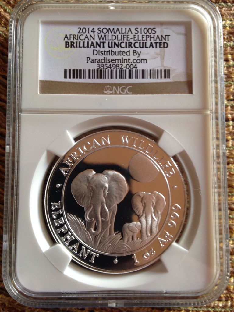 Britannia £2 Silver Bullion