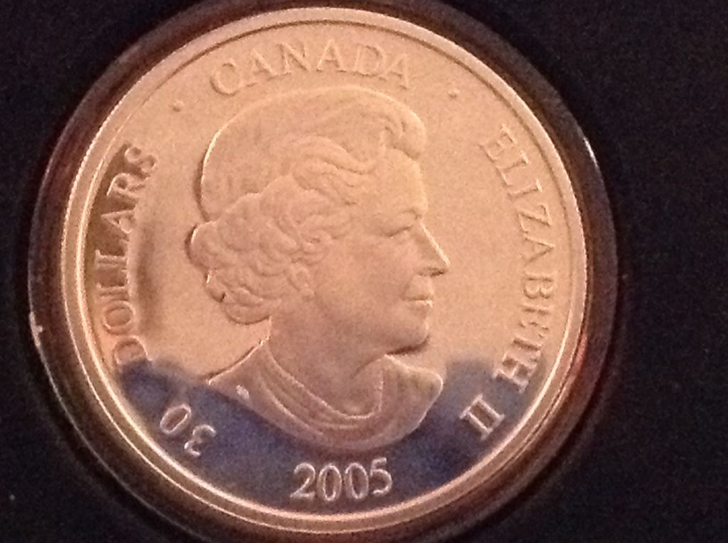 The Totem Pole  coin collectible - Main Image 2